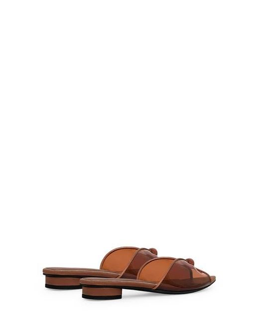 Rebecca Minkoff Brown Paris Jelly Pointed Toe Slide Sandal