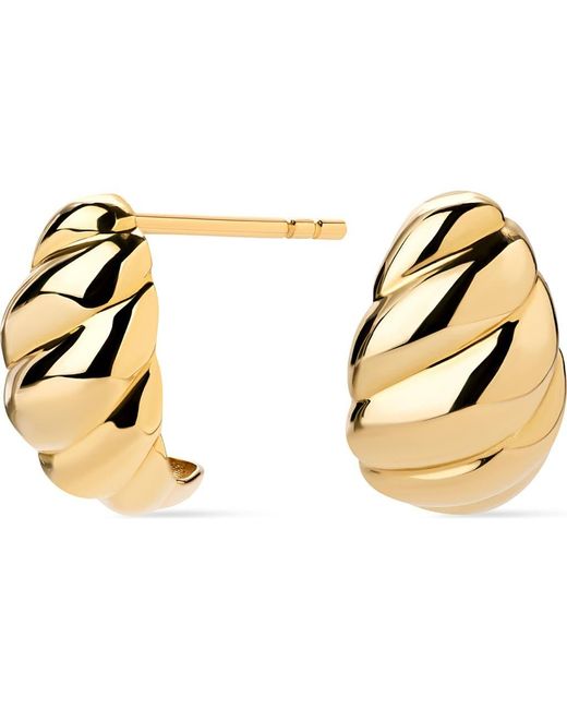 Ana Luisa Metallic Solid