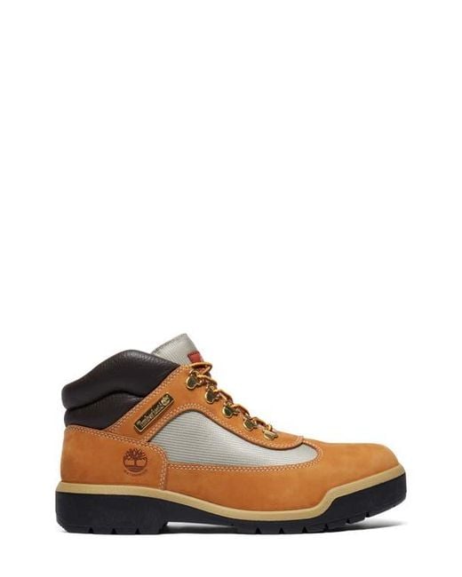 Timberland Brown Field Waterproof Boot for men