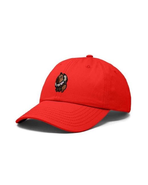 Alix Capybara Donut Embroidered Cap for men