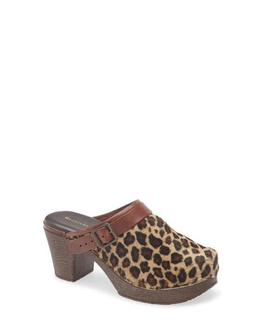 Chocolat Blu Brown Faro Genuine Calf Hair Platform Mule