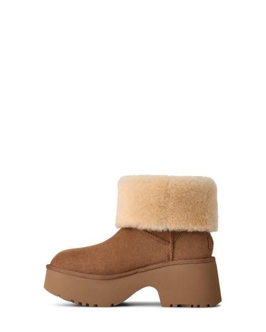 Ugg Brown Esmee Leather Cuffable Tall Boot