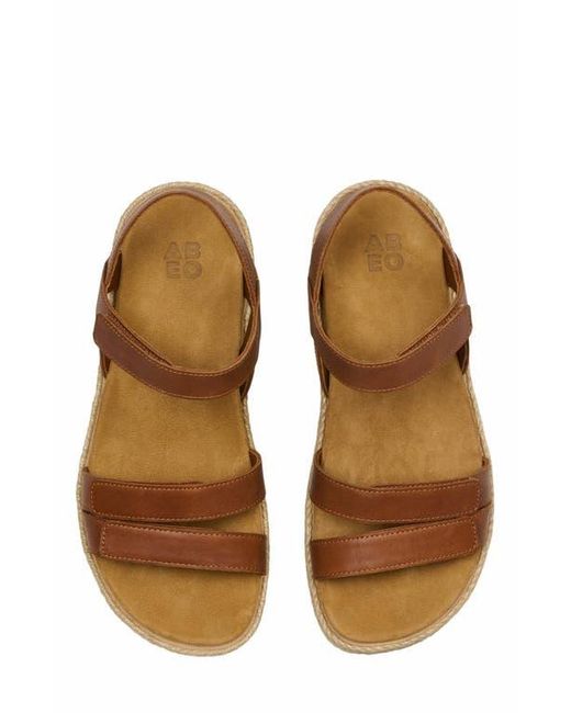 ABEO Brown Solstice Strap