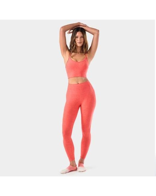 Tavi Red Cloud Boost Bra