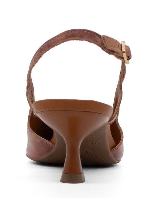 BOTTER Brown Botolivia Legacy Pointed Toe Slingback Pump