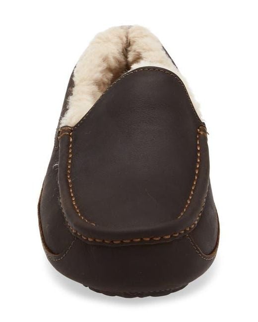 Ugg Multicolor Ascot Slipper for men
