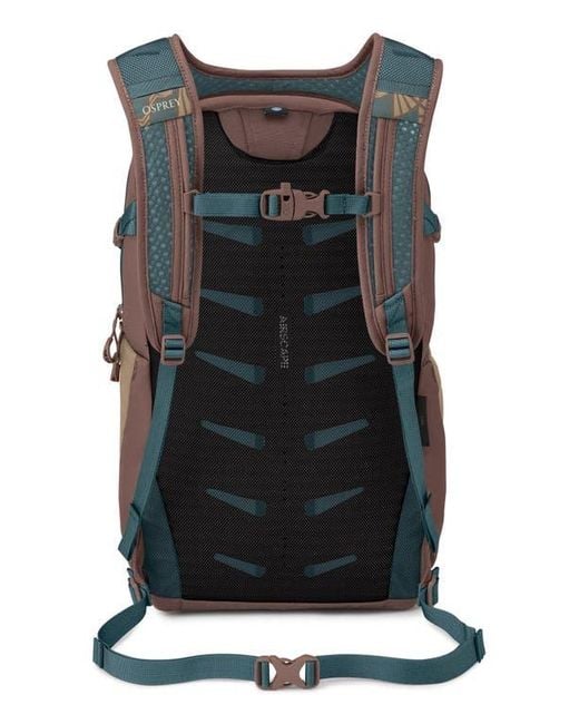 Osprey Gray Daylite Plus Backpack