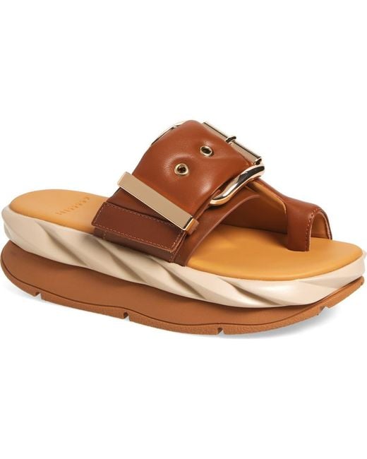 4Ccccees Brown Mellow Glow Toe Loop Sandal