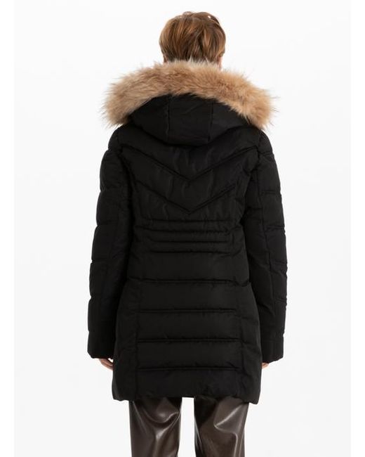 Point Zero Black Jacket Perfection
