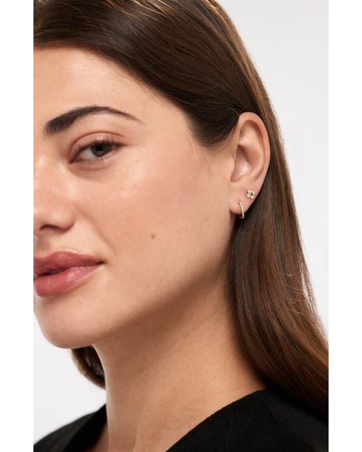 Ana Luisa Green Solid