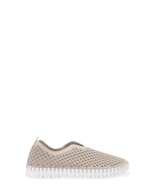 Ilse Jacobsen Gray Tulip Perforated Slip-On Sneaker