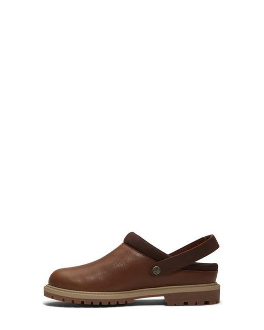Timberland Brown Clog