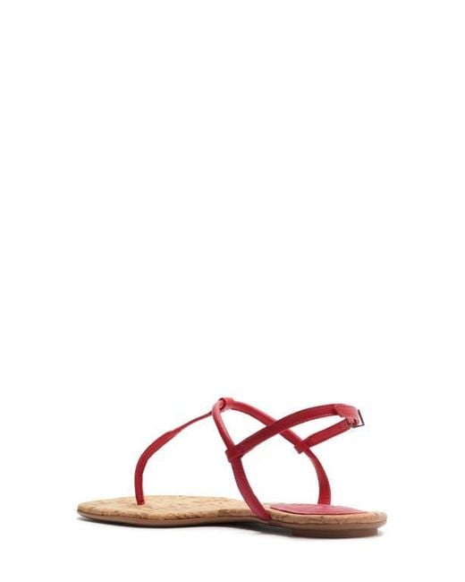 SCHUTZ SHOES Red Elsha T-Strap Sandal