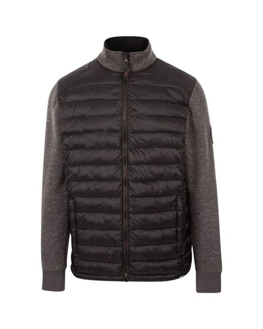 Trespass Black Warner Padded Jacket for men