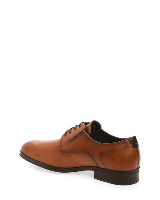 Fluchos Brown Asgard Plain Toe Derby for men