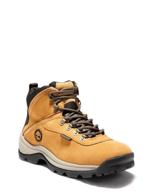 Timberland Natural Ledge Waterproof Hiking Boot for men