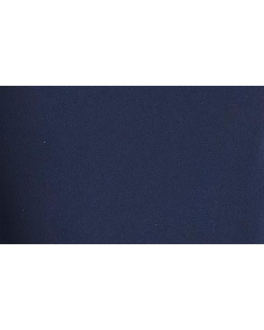 Tadashi Shoji Blue Embroidered Long Sleeve Gown