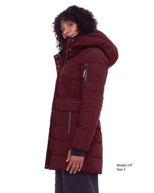 Alpine North Red Kootney