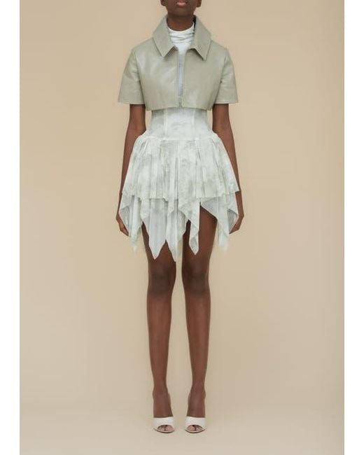 Contessa Mills Blue Bella Printed Piquet Tulle Dress