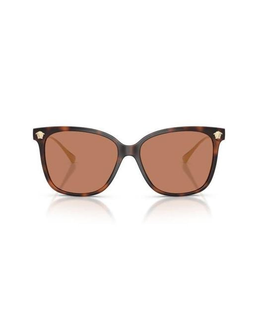 Versace Brown 57Mm Square Sunglasses