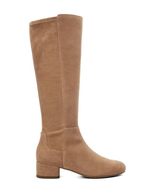Dune Brown Tayla Knee High Boot