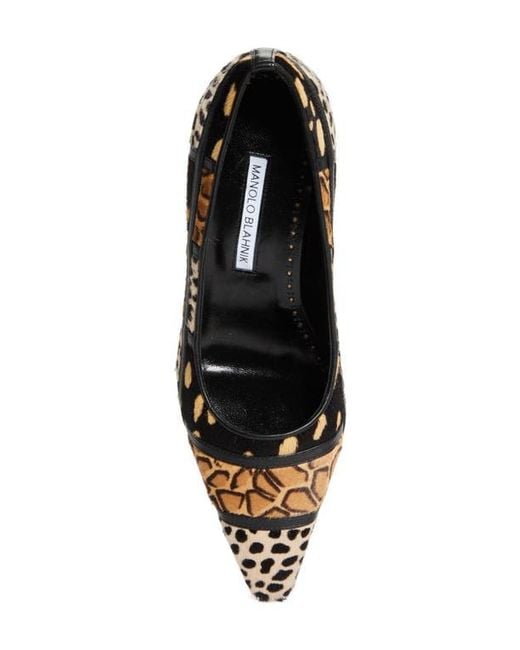 Manolo Blahnik Black Maren Genuine Calf Hair Kitten Heel Pump