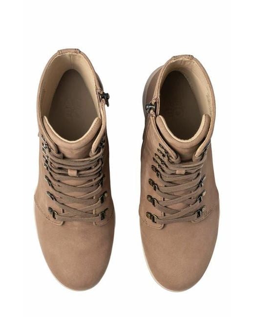 ABEO Brown Metropolis Lace Boot