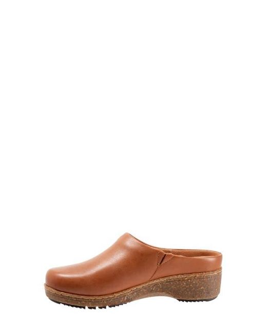Softwalk® Brown Arvada Mule