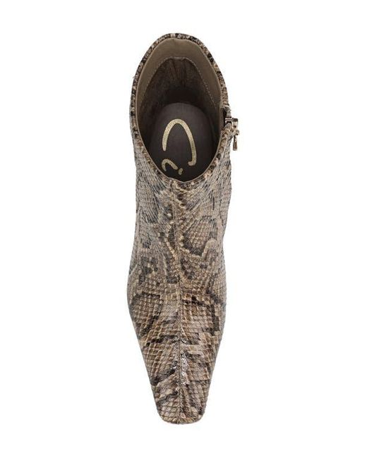 Circus by Sam Edelman Brown Laura Snakeskin Embossed Snip Toe Bootie
