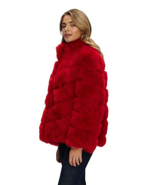 Gorski Red Select Cashmere Goat Jacket