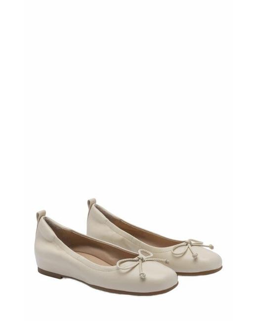 ABEO White Cadence Bow Ballet Flat