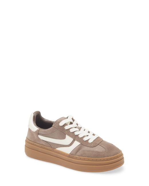 Steve Madden White Dodge Platform Sneaker