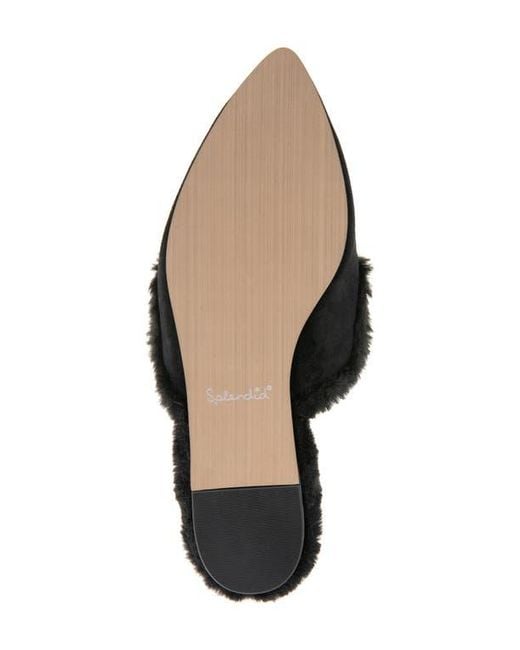 Splendid Black Liza Pointed Toe Mule