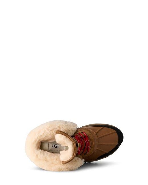 Ugg Brown Adirondack Xxv Waterproof Boot