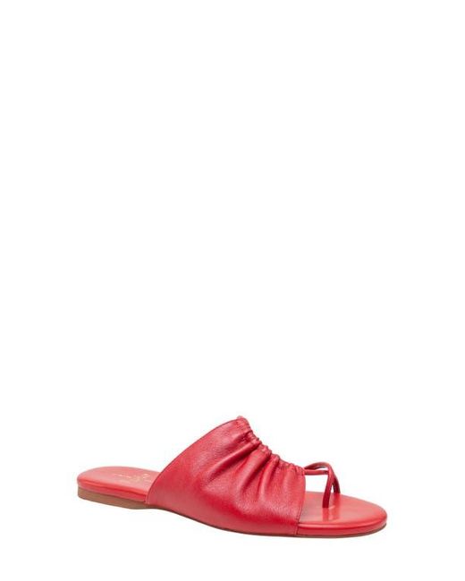 Linea Paolo Pink Lane Toe Loop Sandal