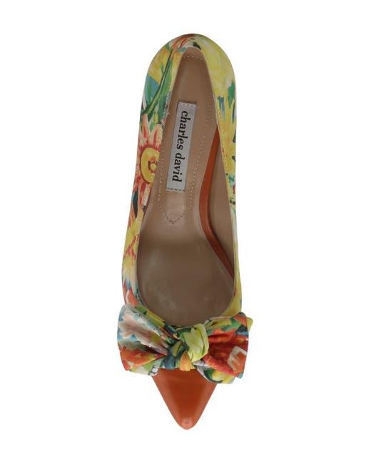 Charles David Multicolor Adren Pointed Cap Toe Pump