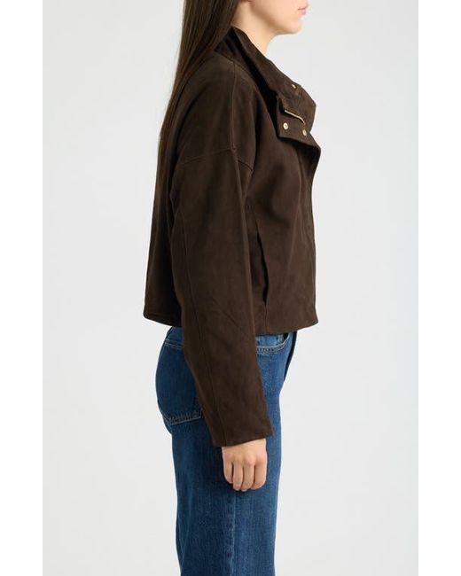 AllSaints Black Ryder Suede Jacket