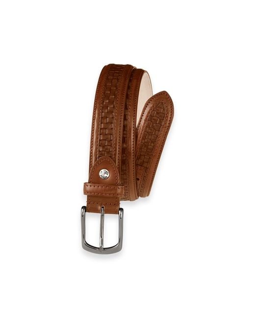 Paul Fredrick Brown Everett Belt for men