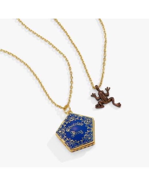 Amazon Harry Potter Chocolate Frog Necklace ALEX AND ANI Harry