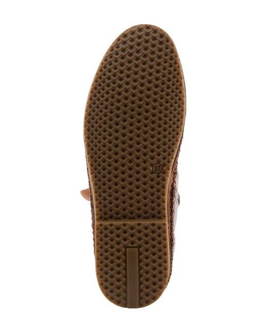 Spring Step Brown Pomeroy Bootie