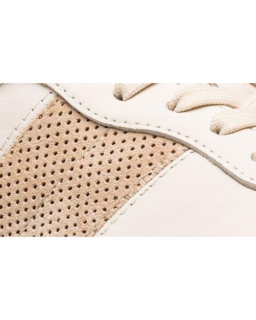 CLAE White Davis Perforated Low Top Sneaker for men