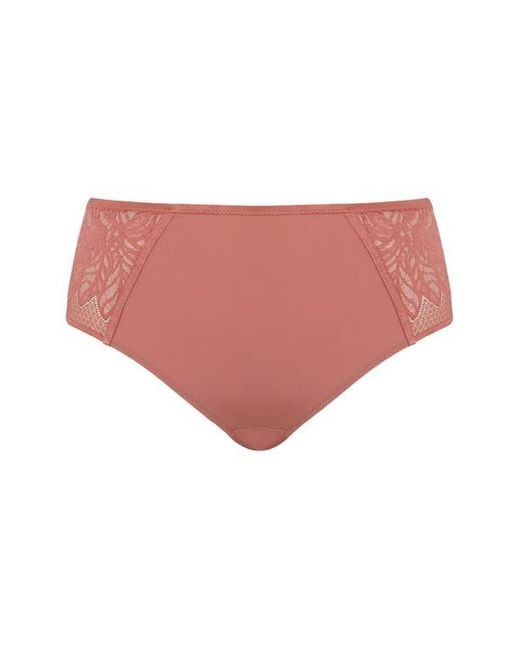 Panache Brown Sophia Lace Cheeky Briefs