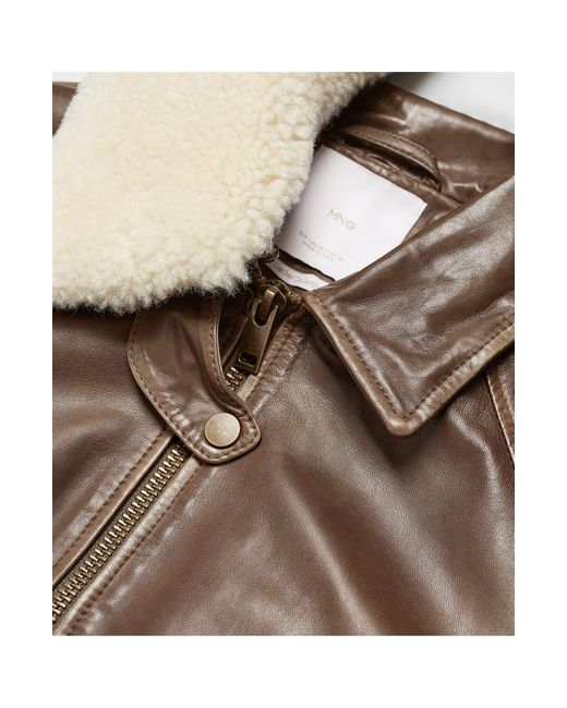 Mango Brown Leather Bomber With Removable Faux Shearling Collar