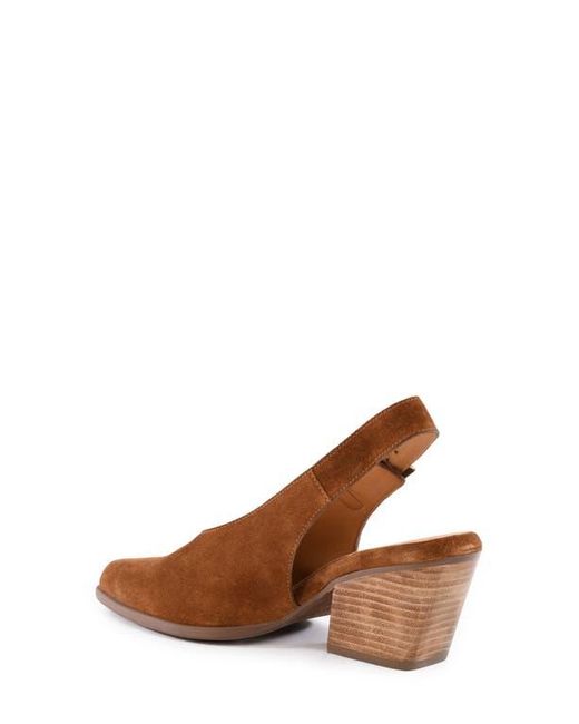 Seychelles Brown Baby Faced Slingback Pump