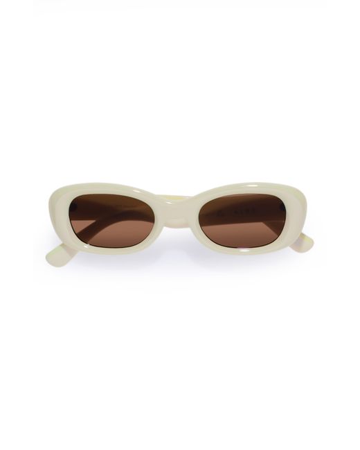 Aire Multicolor Calisto 49mm Small Oval Sunglasses