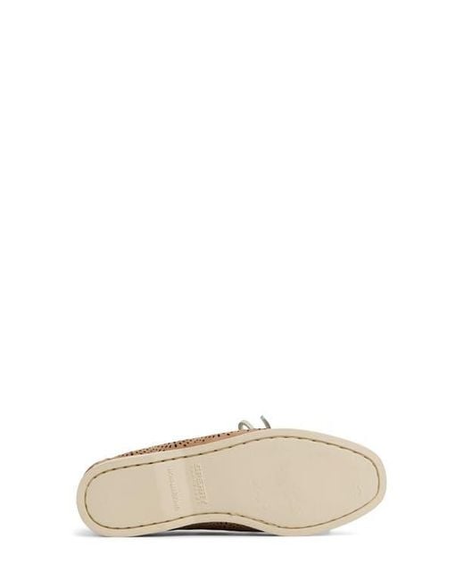 Sperry Top-Sider Multicolor Perforated Loafer
