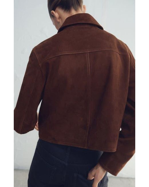 Mango Brown Suede Button Front Crop Jacket