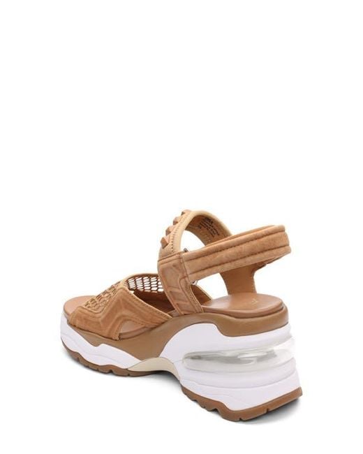 Ash Brown Diva Slingback Platform Sandal