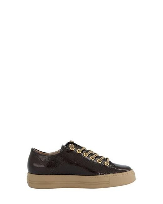 Paul Green Black Hadley Platform Sneaker