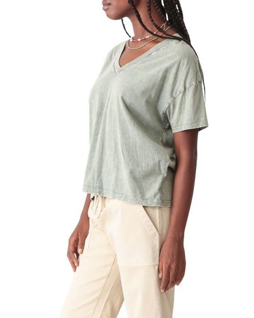 Electric and Rose Multicolor Chase V-Neck T-Shirt